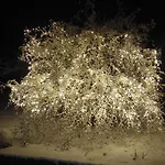 Seidl Lejlighed